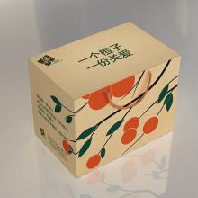 紙藝文明 從書(shū)寫(xiě)載體到現(xiàn)代生活的多維延伸