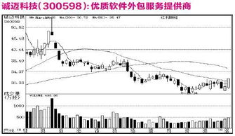 公司研究之機(jī)構(gòu)關(guān)注個(gè)股