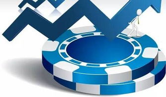 軟件開(kāi)發(fā)公司有哪些能提供專業(yè)程度高的外包服務(wù)