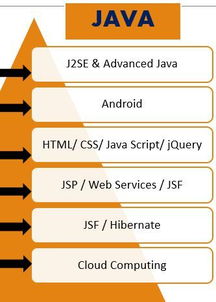 關(guān)于大學(xué)軟件工程 外包 分方向的問題