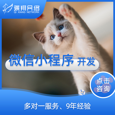 服務(wù)外包供應(yīng)商-IT軟件,品牌設(shè)計(jì),網(wǎng)站外包服務(wù)商平臺